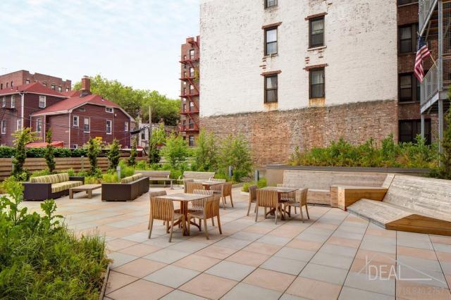 Foto del edificio - bedroom in Brooklyn NY 11218