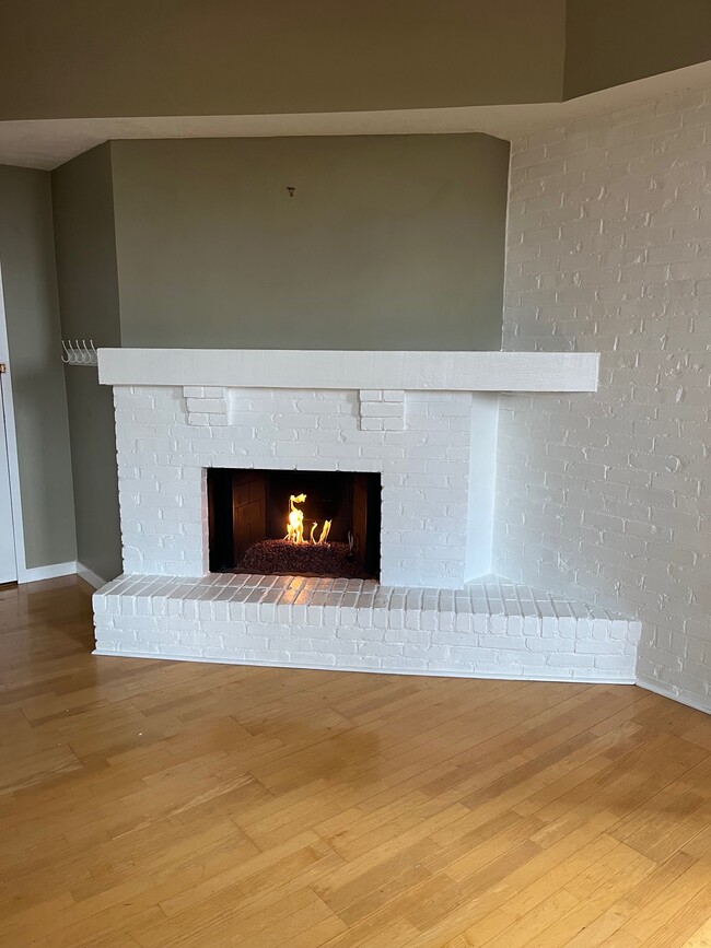 Gas Fireplace - 318 W North Ave