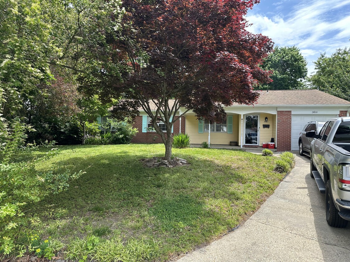 Front Lawn - 3601 Adirondack Ct
