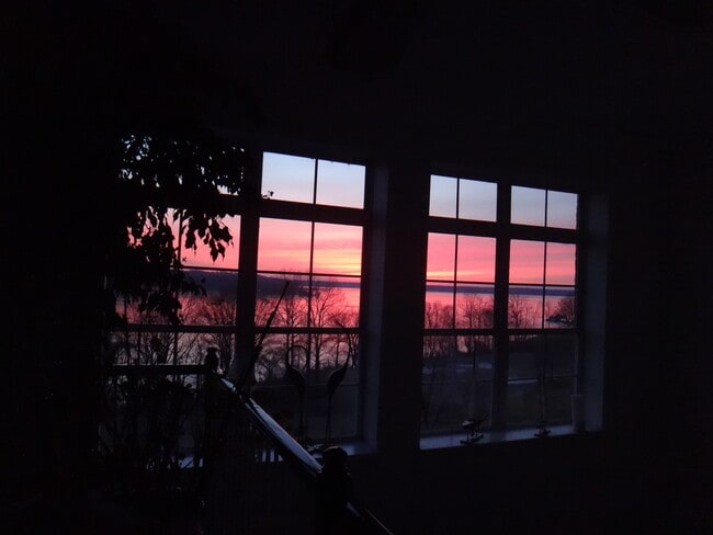 Building Photo - 830 Belmont Bay Dr
