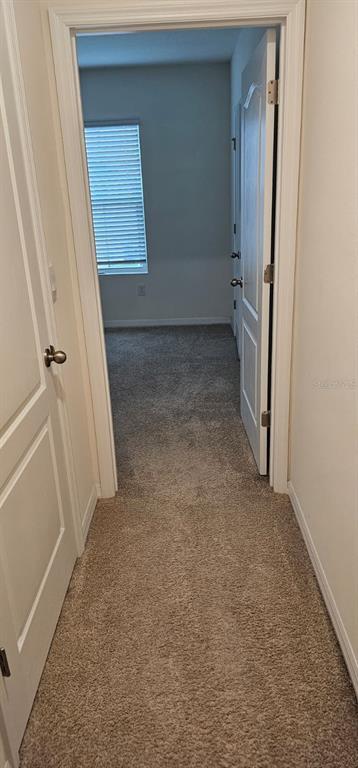 Building Photo - 641 Talisi Lp