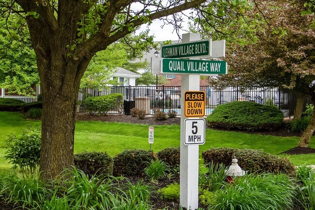 Interior Photo - Lehman Village