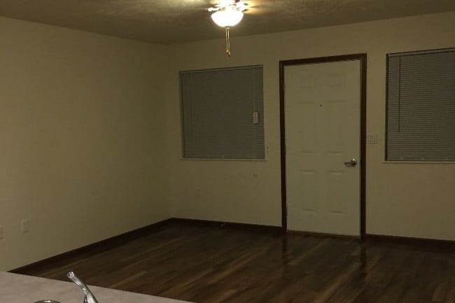 Living room - 509 N 4th St