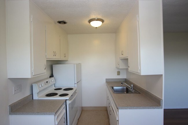 Building Photo - 146 Filbert Ave