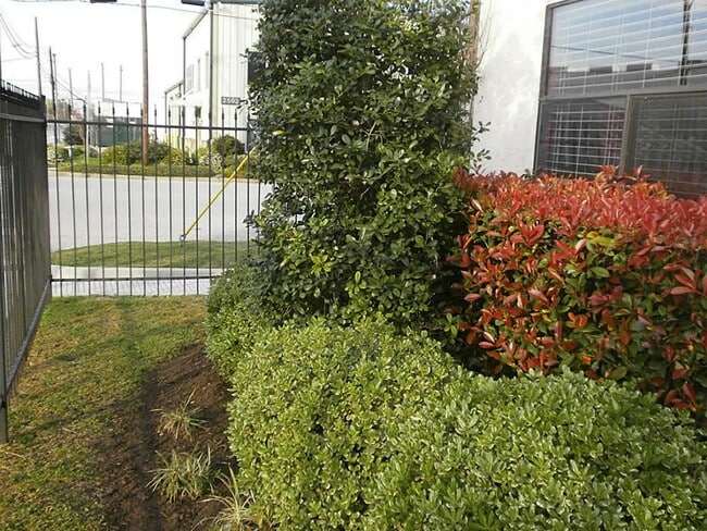 Building Photo - 703 St Charles St