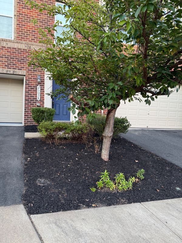 Foto del edificio - 26038 Huntwick Glen Square