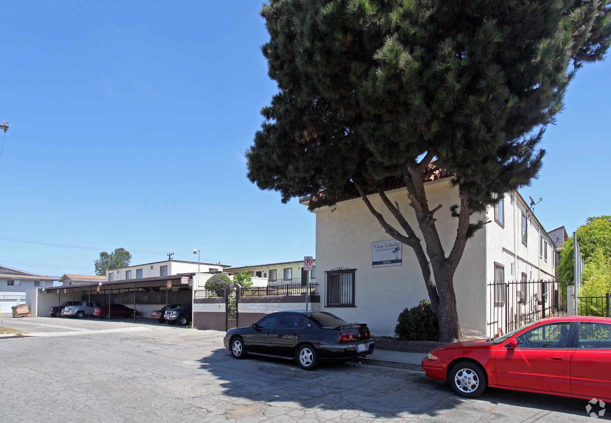 Primary Photo - Casa Lobelia Apartments