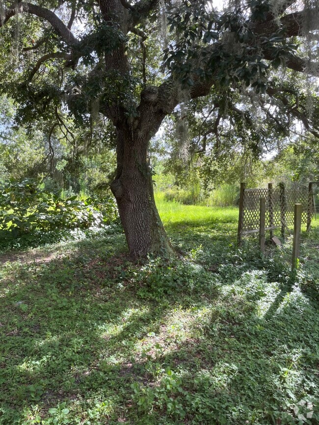 Building Photo - 607 Honeyfarm Ln