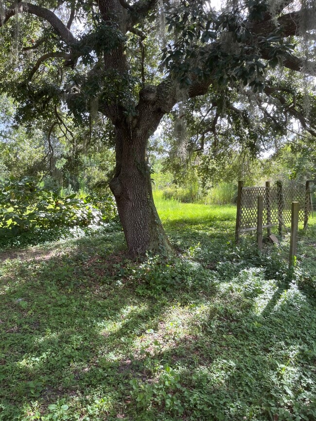 Building Photo - 607 Honeyfarm Ln