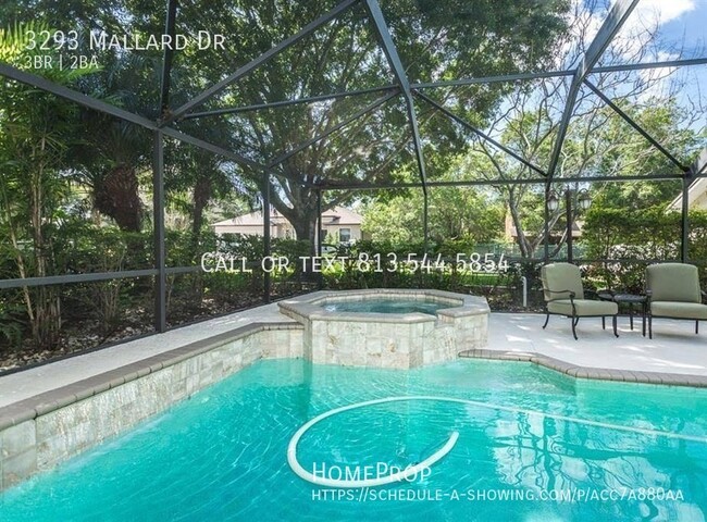 Foto del edificio - Beautiful Safety Harbor Pool Home