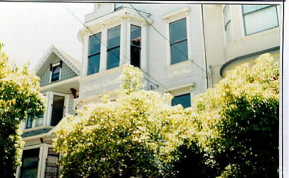 Foto del edificio - 241 Central Ave