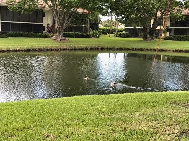 Foto del edificio - 6826  Willow Wood Drive 707