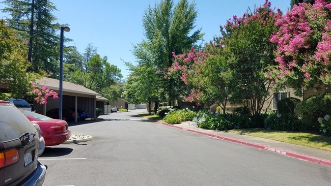Building Photo - 11150 Trinity River Dr