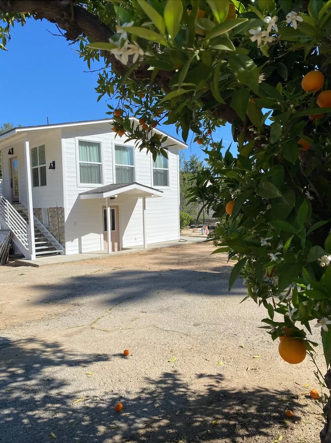 Upstairs Available - 732 Cedar Ave