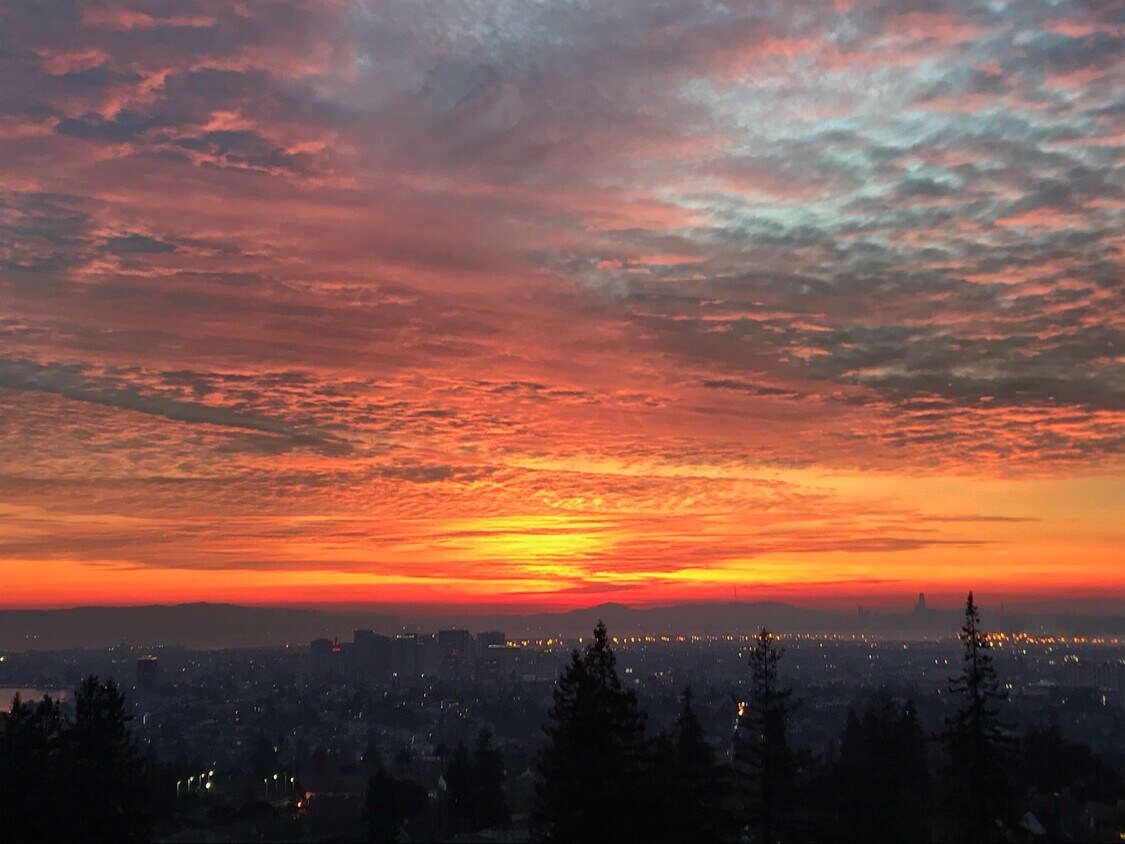 Vista panorámica, puesta de sol, SF - 9 Alta Ave