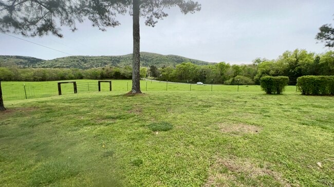 Foto del edificio - 572 Blacksnake Rd