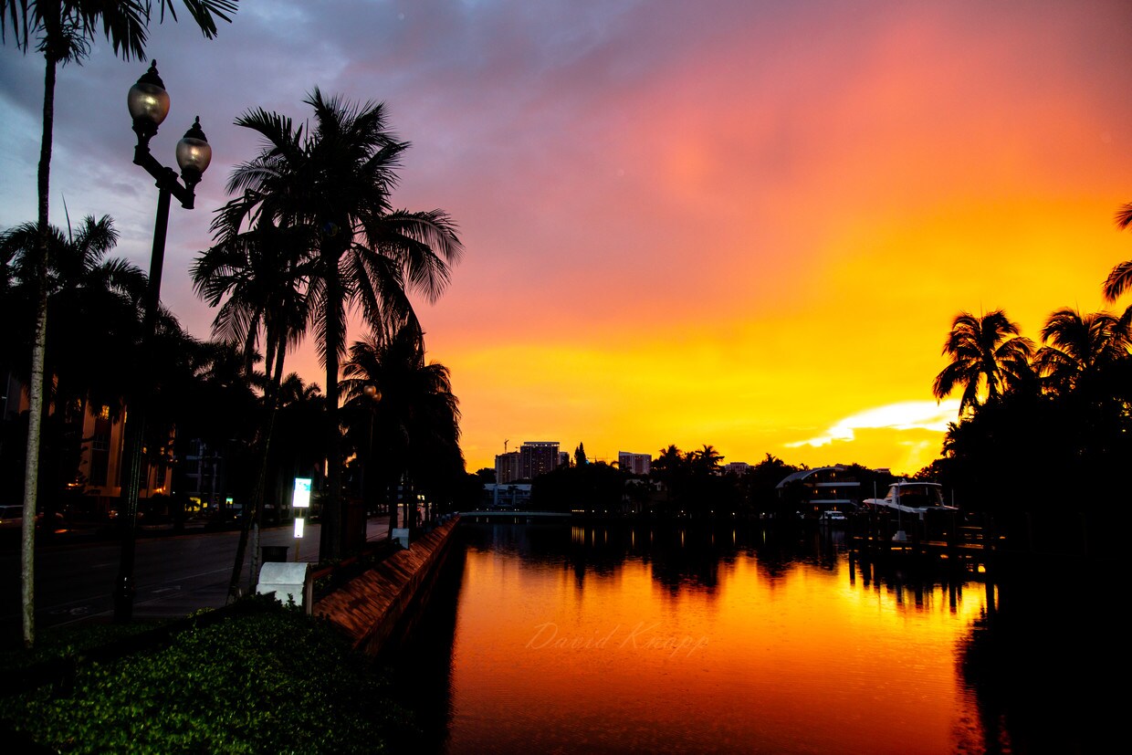 10 Hendricks Isle, Fort Lauderdale, FL 33301 Condo for Rent in Fort