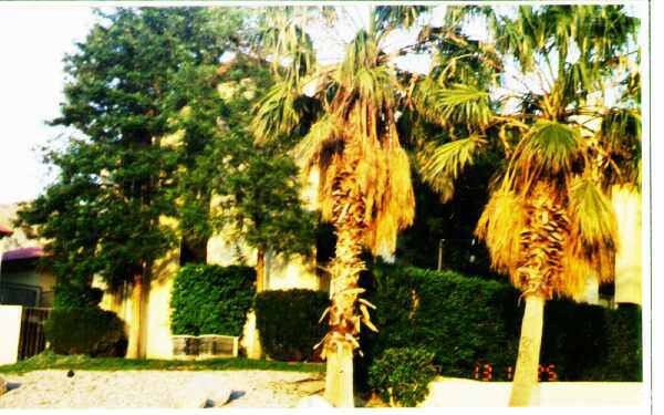 Foto del edificio - 10592 Sunset Ave