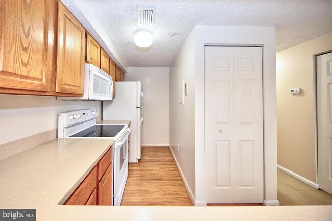 Building Photo - 203 Oak Leaf Cir