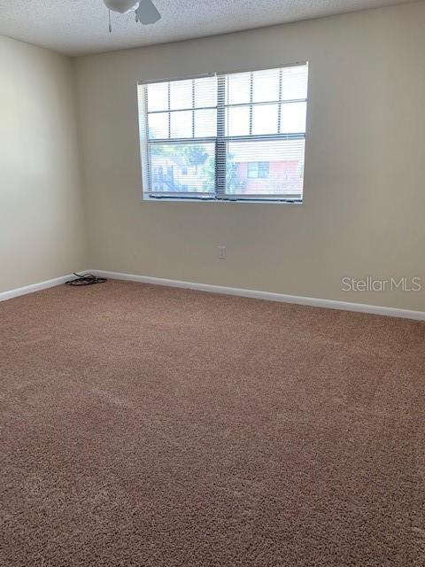 Building Photo - 12403 Hibiscus Oak Pl