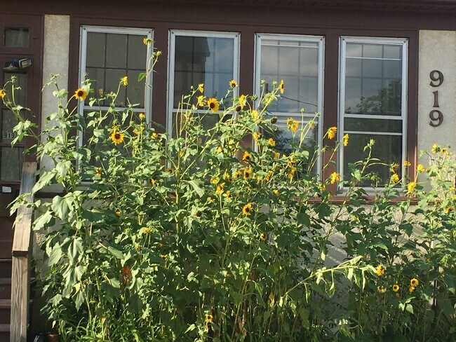 Porch with windows - 919 1st Ave S