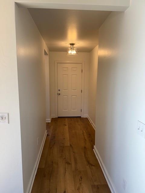 Foto del edificio - 16016 Switchgrass Pl