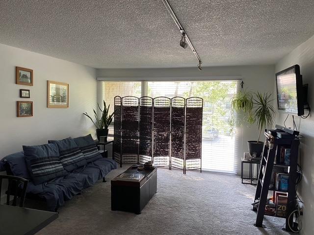 Foto del edificio - 1081 Vail View Dr