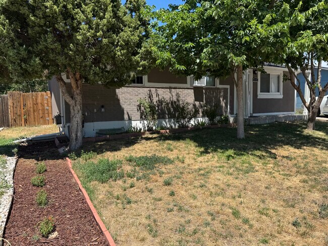 FRONT YARD - 5141 Xanadu St
