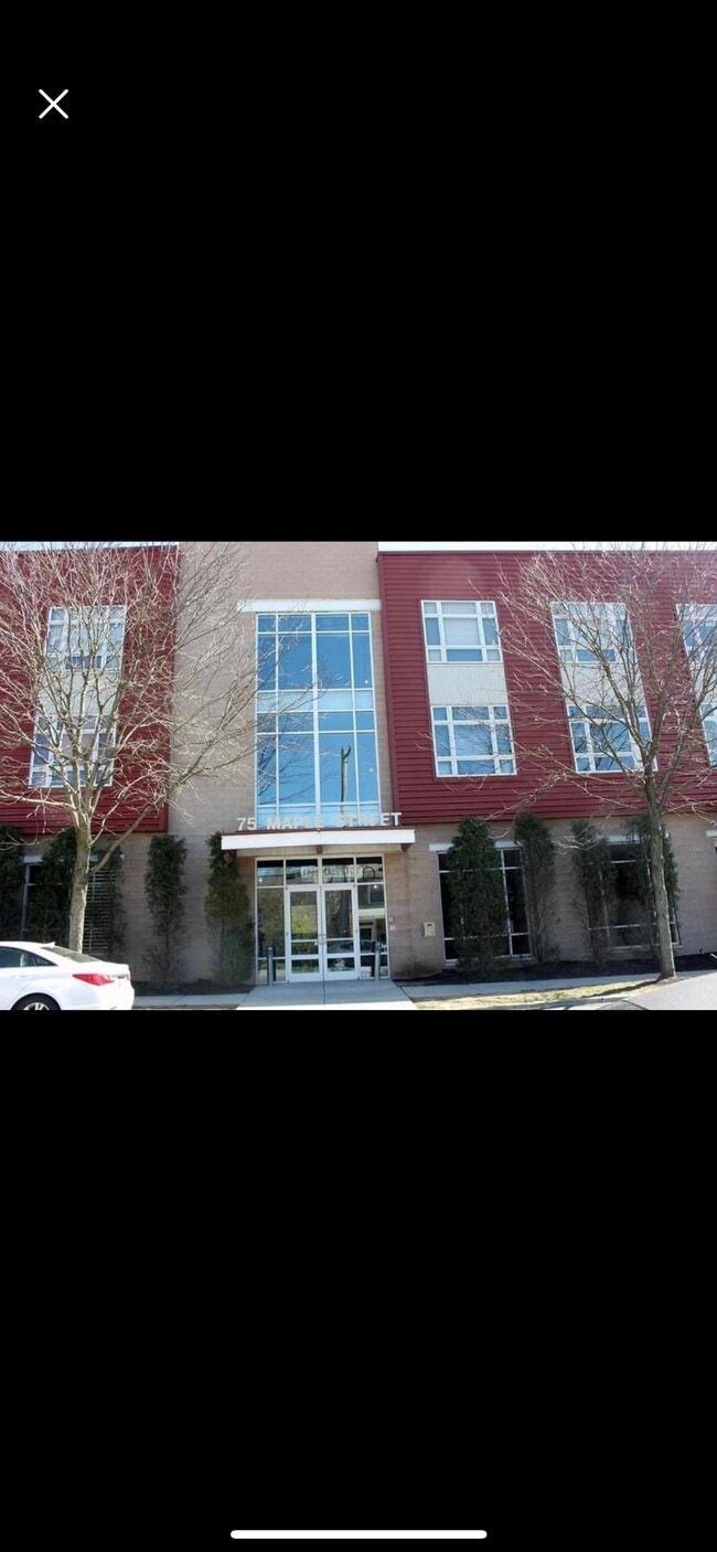main entrance - 75 Maple St