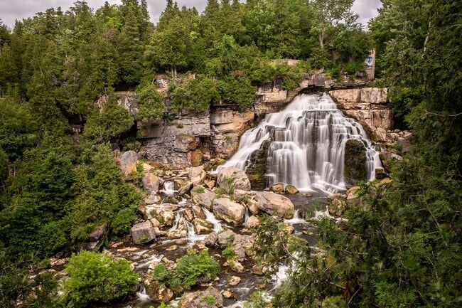 The cascading waters of Inglis Falls surrounded by forest.
