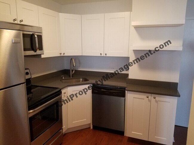 Foto del edificio - 1455 N Sandburg Terrace