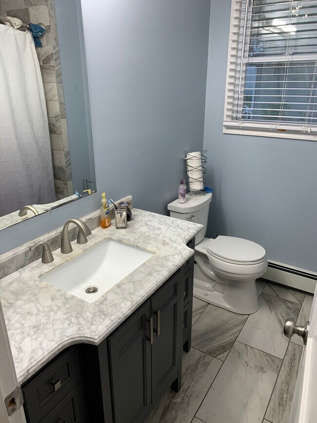 Marble and porcelain finishes in bathroom - 145 E Wyoming Ave