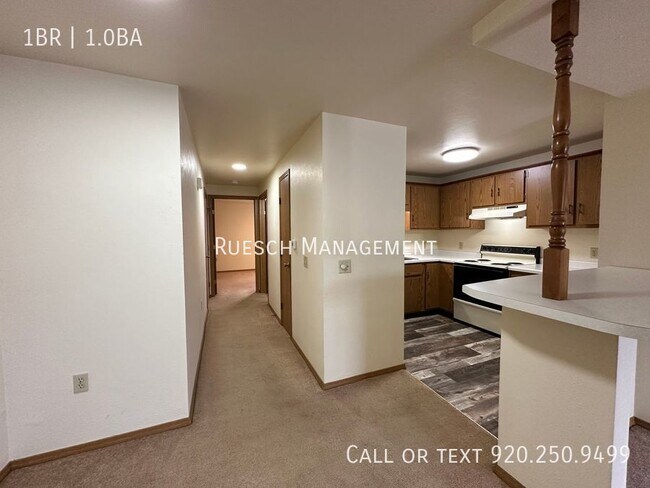 Building Photo - Spacious 1 Bedroom 1 Bath Lower Apartment ...