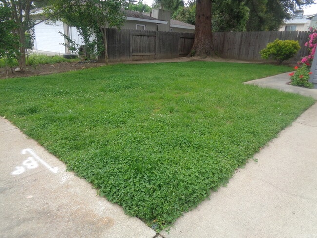 Building Photo - 1170 Forestwood Dr