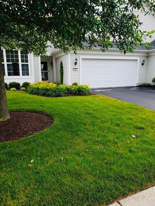 Building Photo - 809 Blue Stem Dr