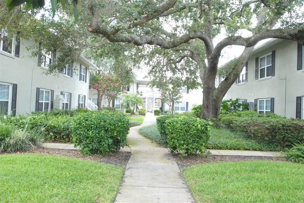 4890 S Conway Rd Unit 67, Orlando, FL 32812 Condo for Rent in Orlando