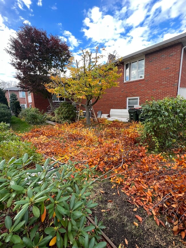 Backyard at autumn - 675 Central St