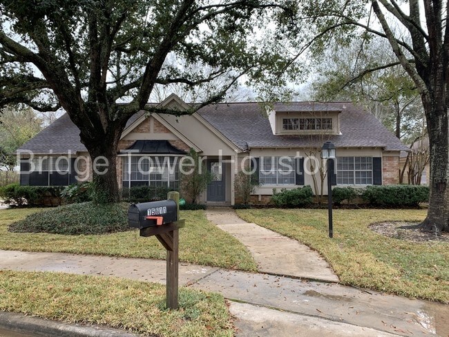 Foto del edificio - 15611 Sandy Hilll, Houston