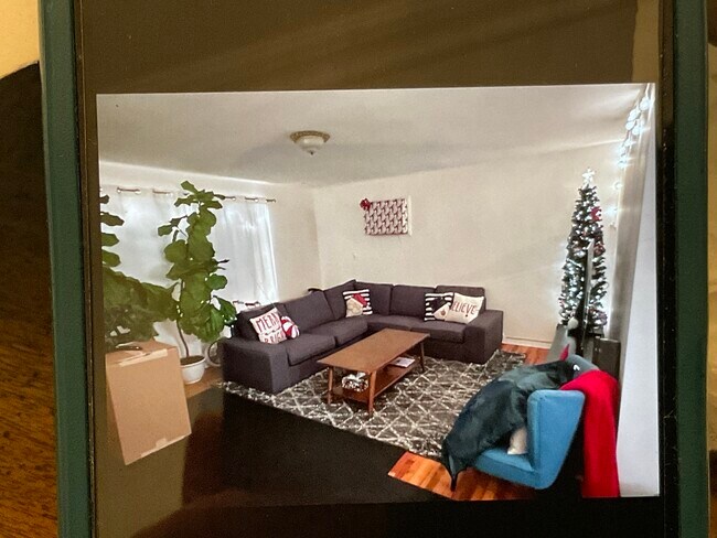 Living Room - 323 Gorge Rd