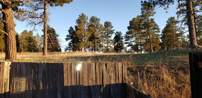 Building Photo - 311 Meadow Dr