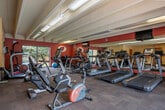This fitness center offers a generously sized, single-floor workout space designed to support a comprehensive exercise experience. The interior is defined by bold terra-cotta red accent walls adorned with University of Wisconsin "W" logos, creating an energetic and motivating atmosphere. Exposed beam ceilings add architectural character while contributing to the open, airy feel of the space.

The cardio zone is prominently featured and houses a row of treadmills and elliptical trainers, supplemented by upright and recumbent stationary bikes — all Matrix brand equipment. A wall-mounted flat-screen television is positioned for easy viewing during workouts. A large floor-to-ceiling mirror along one wall visually expands the space and allows users to monitor their form throughout their sessions.

The strength training area includes a multi-function cable machine, a dedicated free weight section with a full rack of dumbbells, and additional resistance equipment. Stability balls and accessories are also available. The flooring throughout is durable carpet tile, providing comfort underfoot.

Natural light enters through windows on one side, with a glass door on the opposite end offering a direct view of an outdoor pool area, seamlessly connecting the indoor fitness space to exterior amenities. The overall design is functional, well-lit, and purpose-built for an active lifestyle.