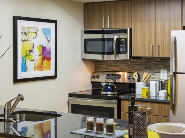 Renovated Apartment With Granite Countertops, Stainless Steel Appliances and Wood-Style Flooring - Meridian at Courthouse Commons