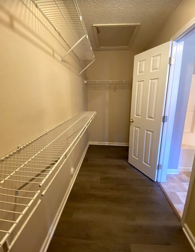 Foto principal - 1043 Wyndham Ln