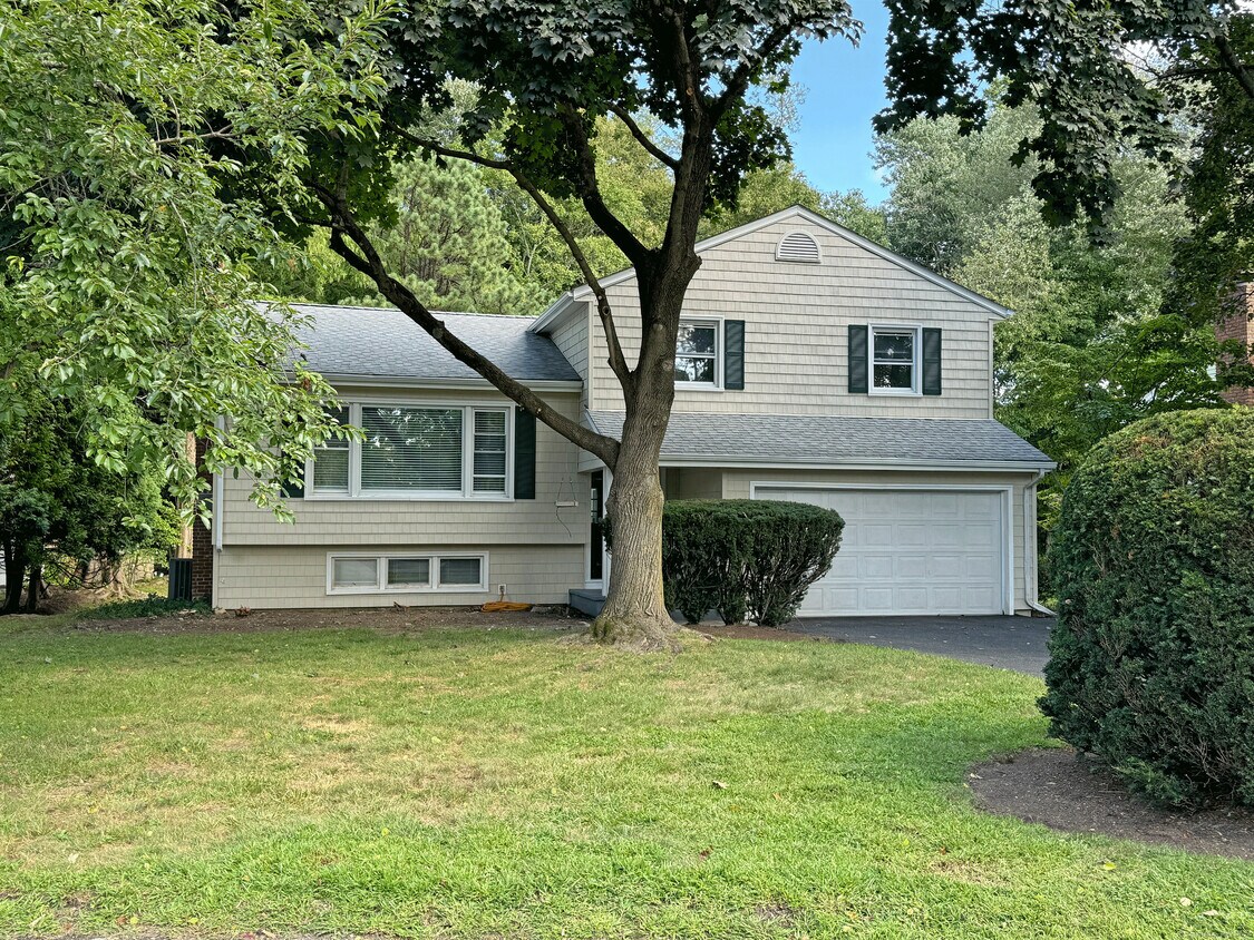 Primary Photo - 45 Lancer Rd
