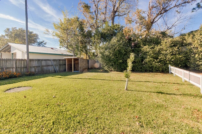 Building Photo - 1639 Live Oak St