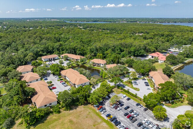 3323 Crystal CT E Palm Harbor, FL - Crystal Lake