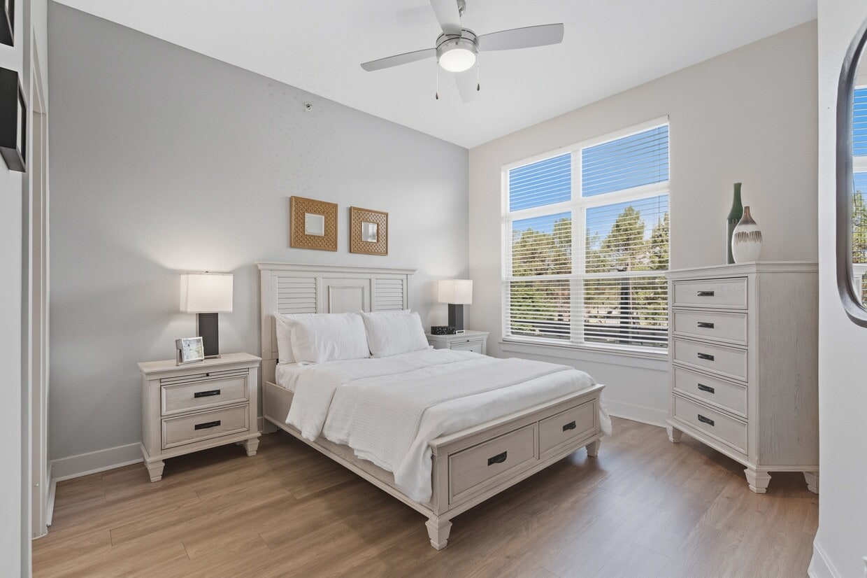 Primary Photo - Ambrose