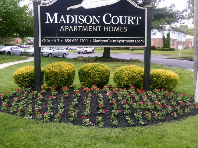 Foto del edificio - Madison Court Apartments