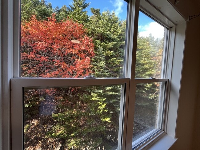 Photo du bâtiment - 91 Larkhall St