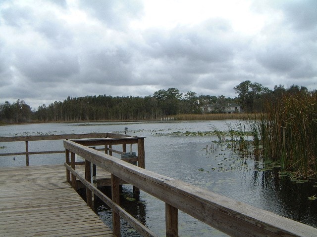 Building Photo - 2010 Land O Lakes Blvd